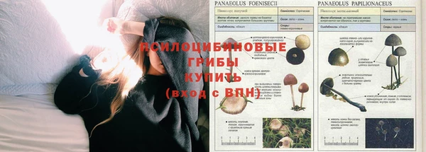 гашиш Аркадак