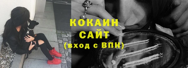 шишки Армянск