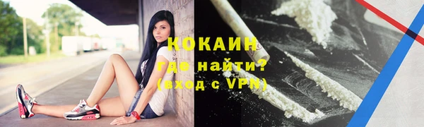 шишки Армянск