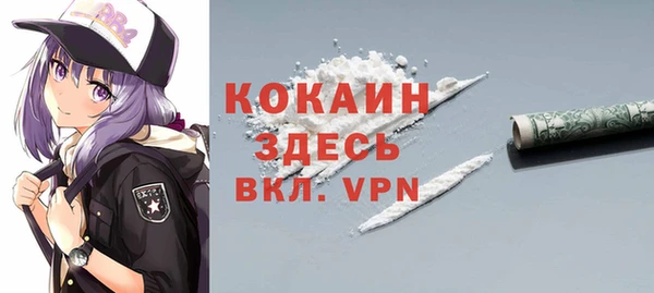 кокс Арсеньев